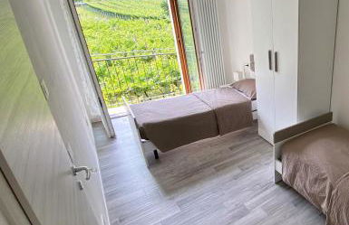 La Masera Holiday - Vigneto - Foto 30