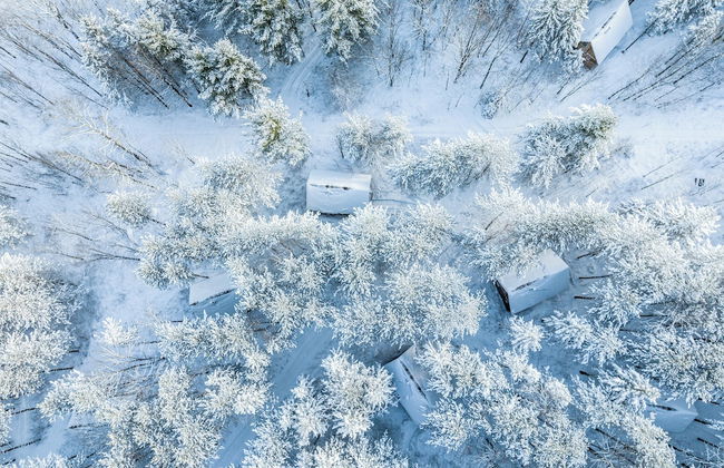 Chalets Huttopia White Mountains - Photo 14