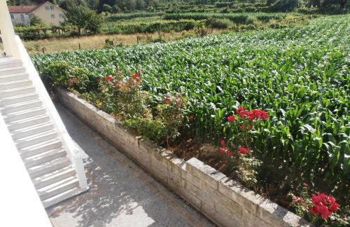 Casa do Reguengo - Foto 43