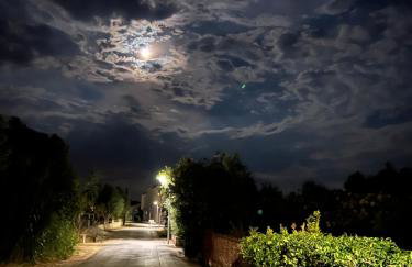 Appartement Vila Fajen - Foto 31