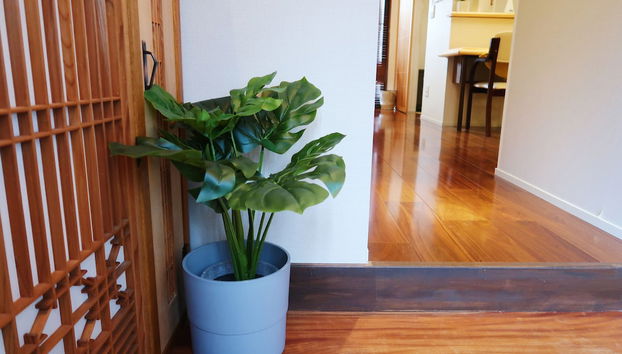 Entrada (vista interior)