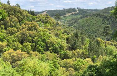 A casa dos avós - Foto 28