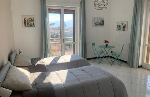 Vesuvius garden - Photo 30