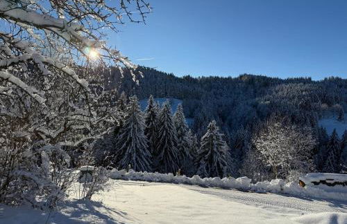 Alpe Sonnenruh - Photo 26