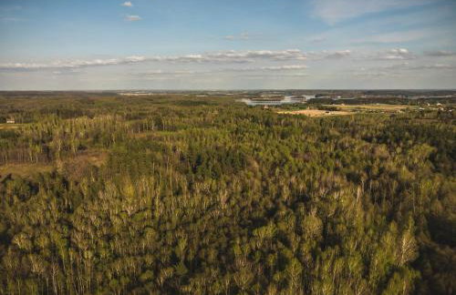 Las Angels - Foto 19