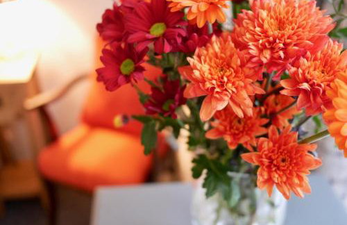 Providence Cottage - Foto 6