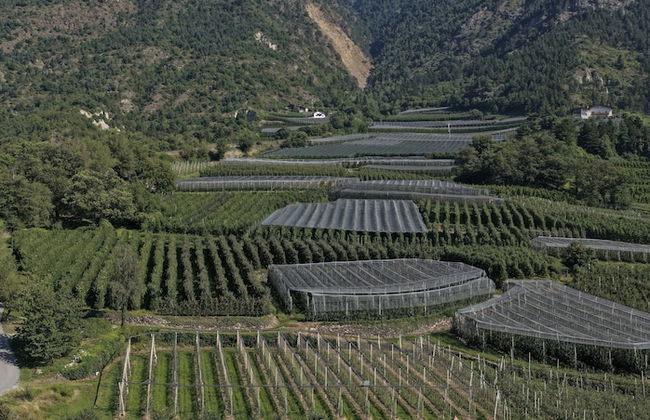 Residence Lahnhof, Laces - Photo 70