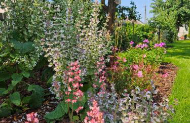 Oliwkowy Ganek - Foto 12