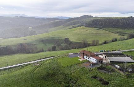 Finca Seles - Photo 12