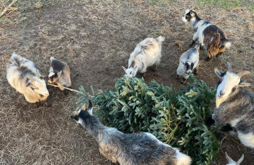 Luxury countryside retreat with hot tub - Foto 16