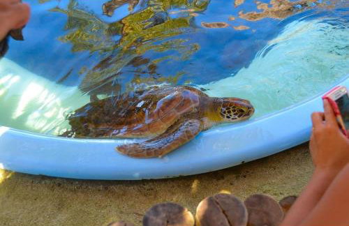 Praia Ubatuba Apartamento SilBraSil - Foto 37