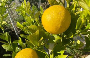 Villa Rocky Beach - Photo 21