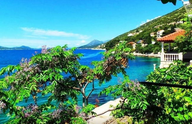 Sea of Eden - Foto 46