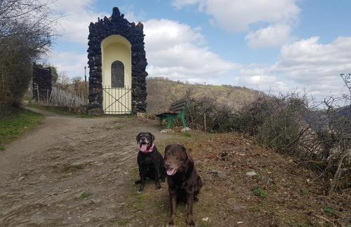 Ferienhaus Leopold mit Burgblick an der Mosel - Foto 8