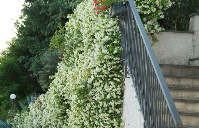 Agriturismo Nonna Bettina - Photo 26