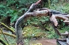 Casa Canal de las Tejeras - Foto 37