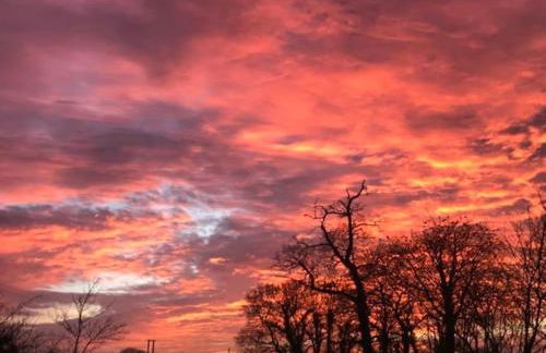 Borrowmoss Bothy, Charming & Characterful property, Wigtown - Foto 25