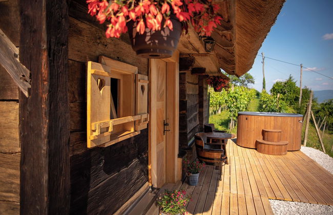 Glamping Paradise Škatlar - Foto 16