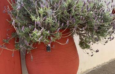 Grey House - Foto 86