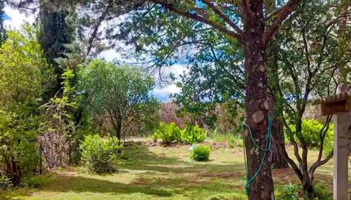 Maison Proche Rivière - Foto 3