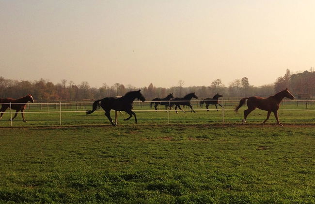 Agriturismo Il Boschetto - Photo 30