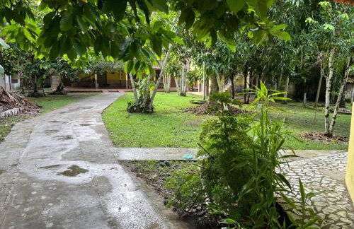 Chácara em Benevides - Photo 3