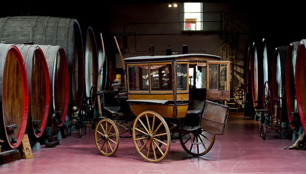 Degustación de vino Lambrusco y visita a la bodega en Módena. - Foto 3