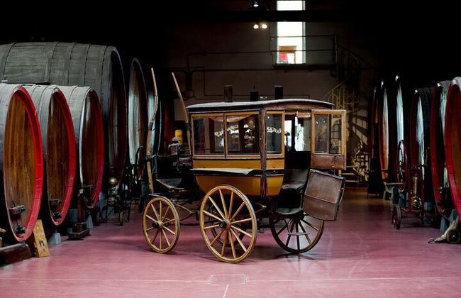 Degustación de vino Lambrusco y visita a la bodega en Módena. - Foto 3