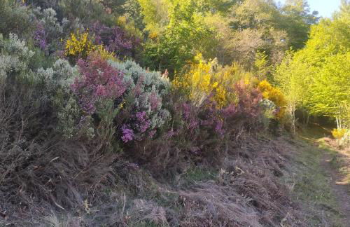 El rincón de Soto - Foto 46