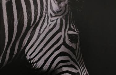 Apartament Miętowa Zebra - Foto 19