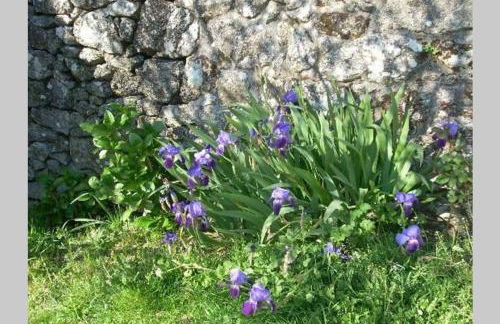 Casa da Labaceira - Foto 34