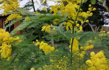 Gîte des Graves de Lilou - Foto 54