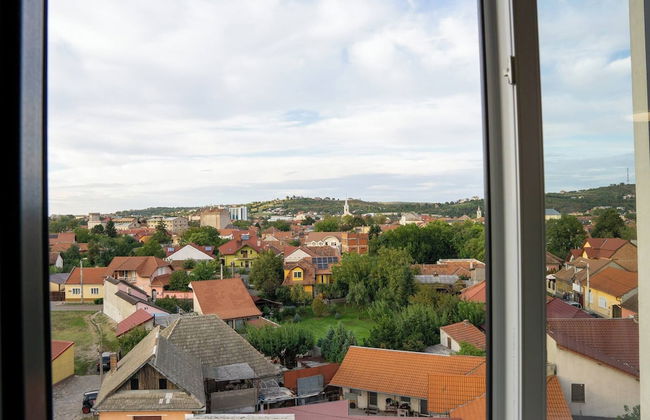 Apartment La Ciobanu - Foto 14