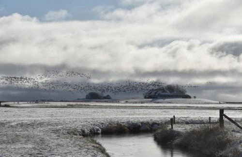 Friesenblau im Haus Schladenhaufen - Foto 25