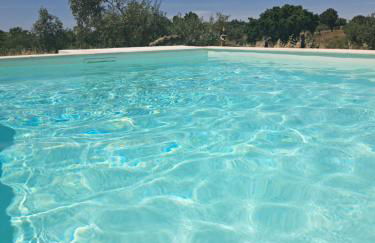 Monte do Rochinha - Foto 8