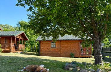 Pod Dziką Jabłonią - Foto 3