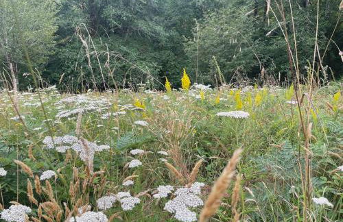 Sweet Root Hollow - Foto 28