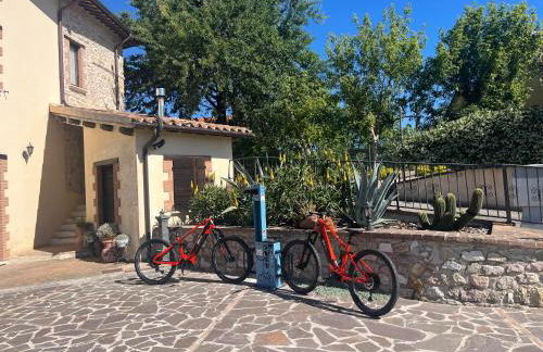 Casa Vacanze Vecchio Frantoio Residenza Leccino - Photo 14