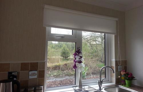 Grandeagles Extra large lodge - Foto 19