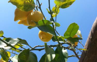 Montammare Casa Di Charme - Foto 26