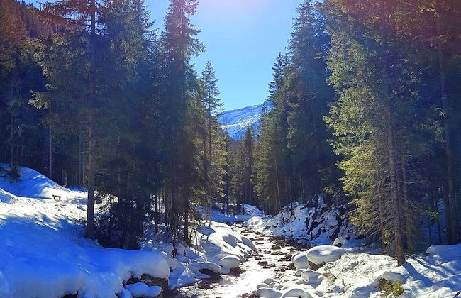 Apartment on the ski Slopes at Plan de Corones - Photo 26