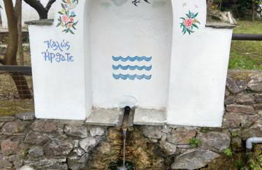 Flower house - Foto 38