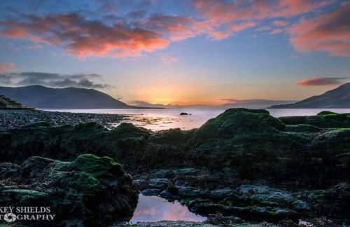 The Little Red Door - Photo 15