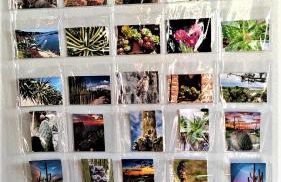 Le Nopal Bleu - Foto 19