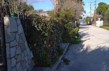 The Lemon House by The Sea - Foto 10