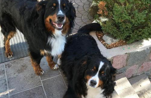 Biohof Hamann - Foto 14