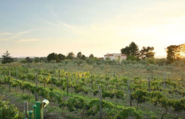 Agriturismo il Marrugio - Foto 33