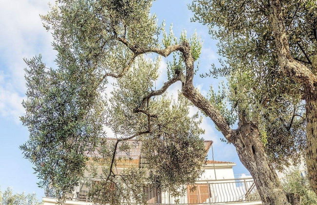 Apartments Vlahušić - Foto 35