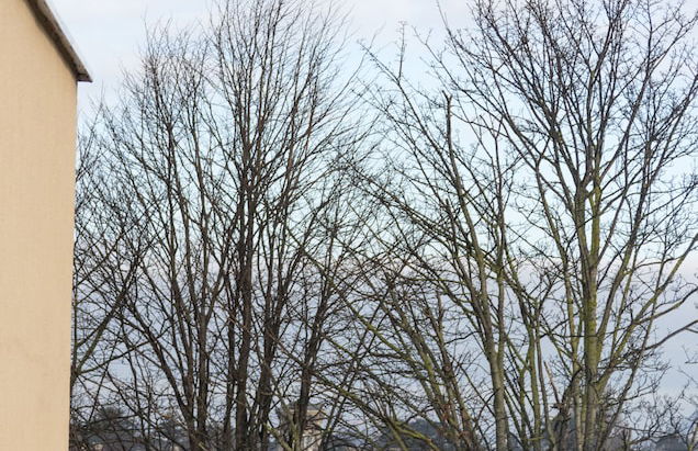 Broc House Suites - Photo 49