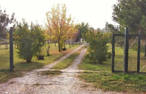Το σπίτι στο αγρόκτημα - Foto 33